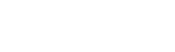 ByteForce