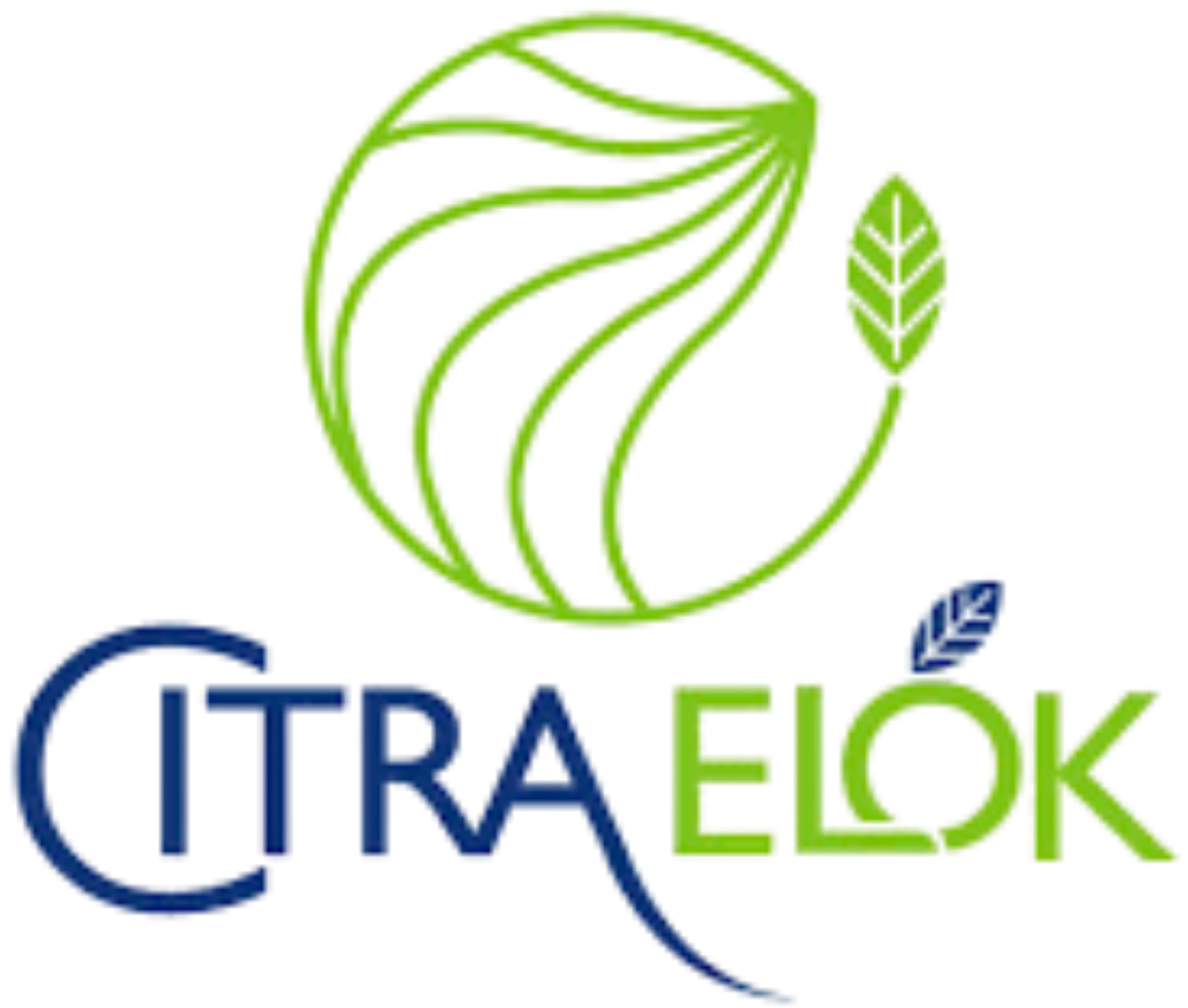 Citra Elok